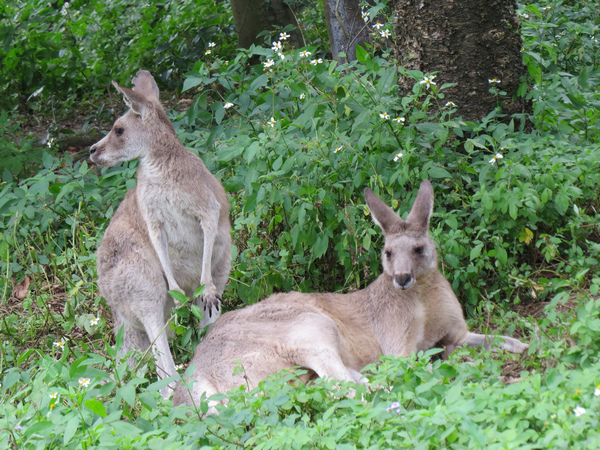 動物園86.JPG