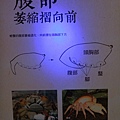 台灣博物館~螃蟹特展2.JPG