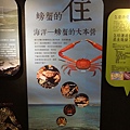 台灣博物館~螃蟹特展8.JPG