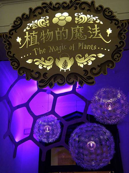 台灣博物館~植物的魔法特展3.JPG