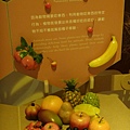台灣博物館~植物的魔法特展38.JPG