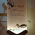 台灣博物館~植物的魔法特展43.JPG