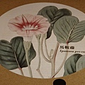 台灣博物館~植物的魔法特展54.JPG