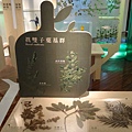 台灣博物館~植物的魔法特展60.JPG