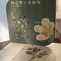 台灣博物館~植物的魔法特展61.JPG