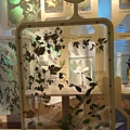 台灣博物館~植物的魔法特展65.JPG