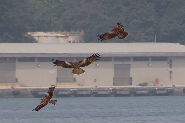 IMG_5879.JPG IMG_5879.JPG