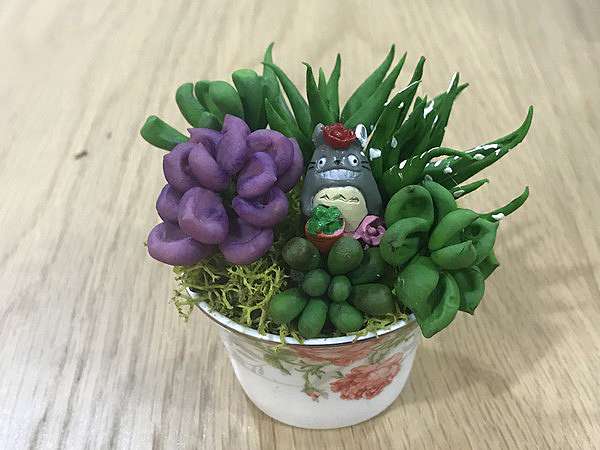 樹脂黏土作品 1 多肉植物盆栽 Lucia的窩 痞客邦