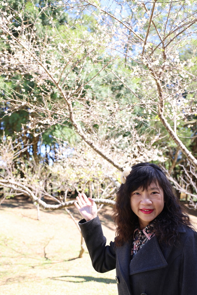 角板山行館(賞梅)