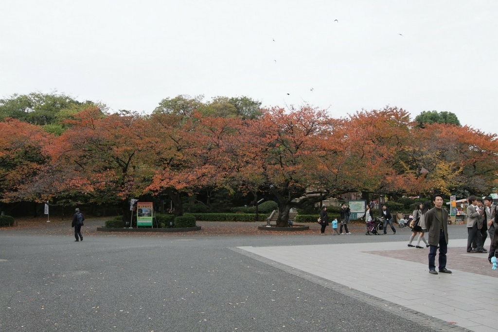 日本東京_2010-11-13-10-12-36_099.jpg