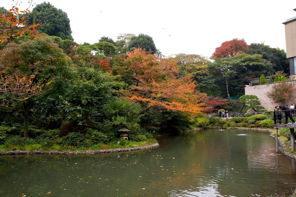 日本東京_2010-11-14-10-03-37.jpg