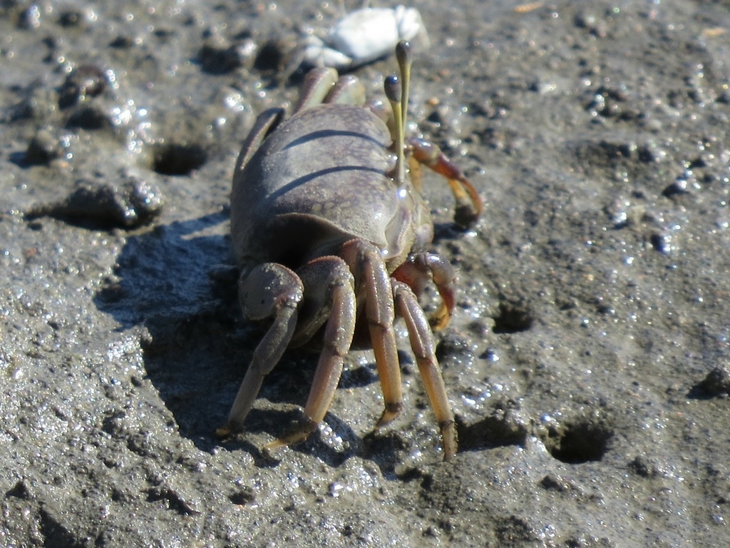 IMG_8602.jpg IMG_8602.jpg