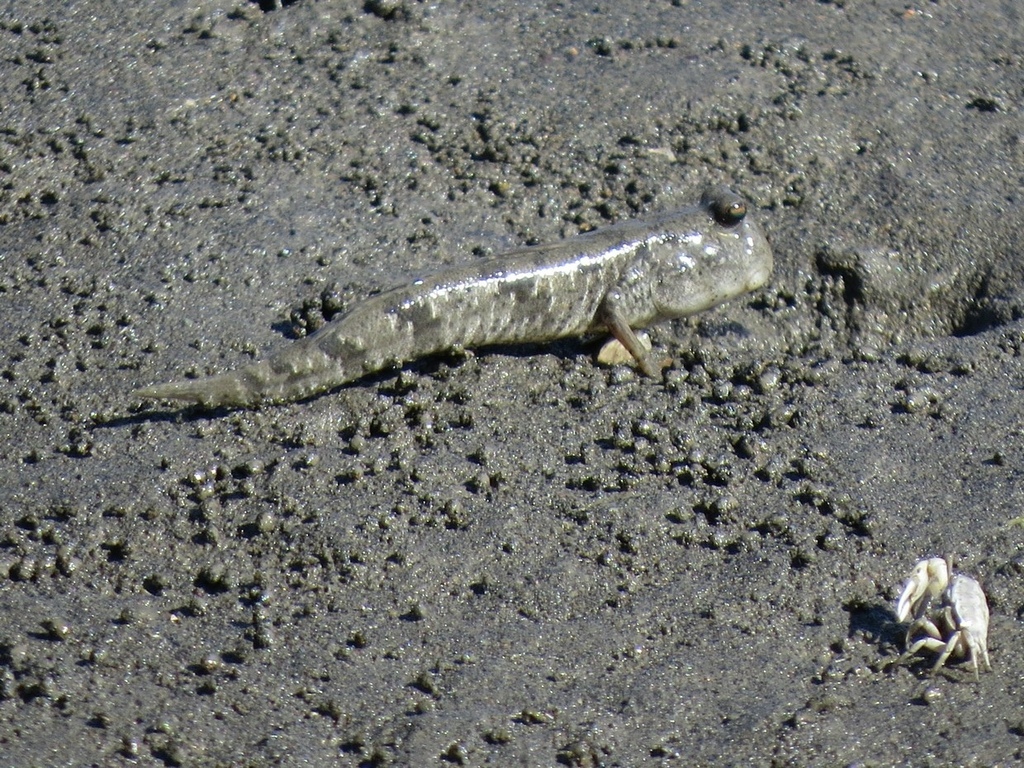 IMG_8638.jpg IMG_8638.jpg