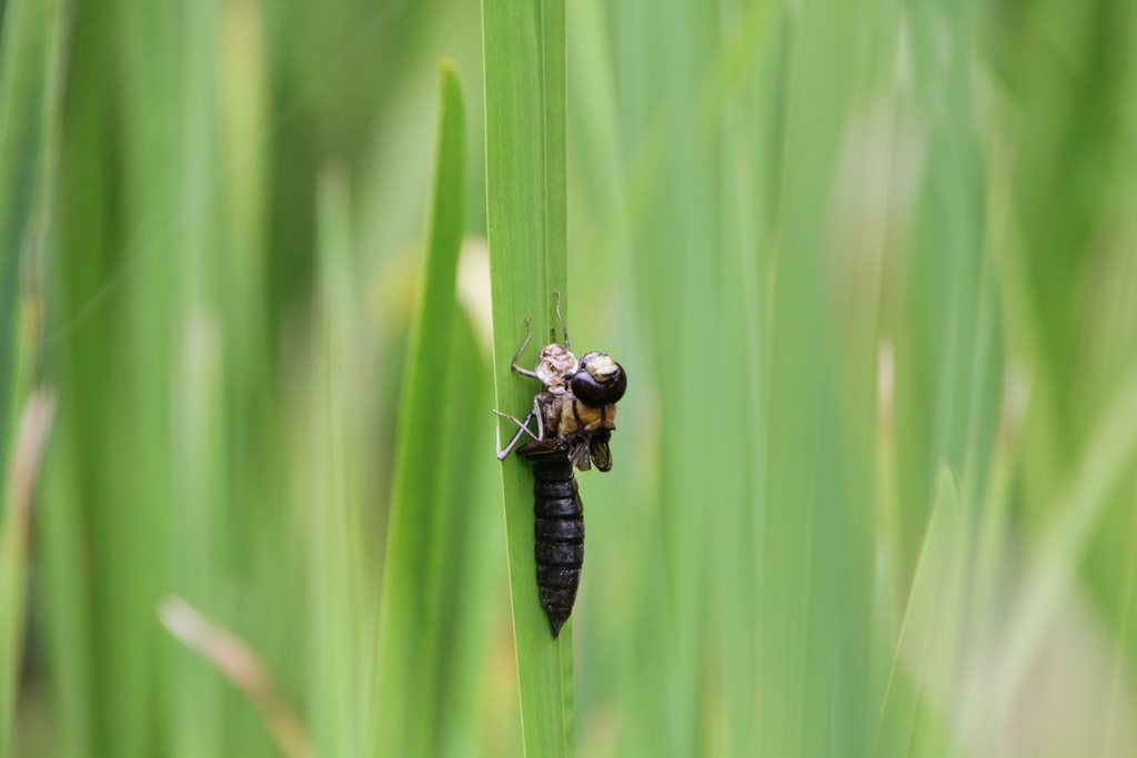 IMG_1985.jpg IMG_1985.jpg