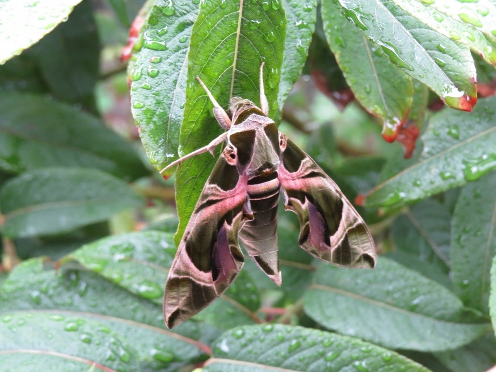 IMG_6125.jpg IMG_6125.jpg