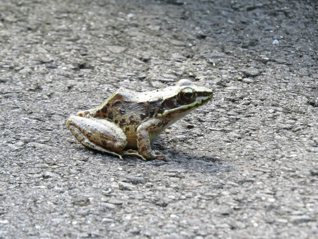 IMG_8955.jpg IMG_8955.jpg