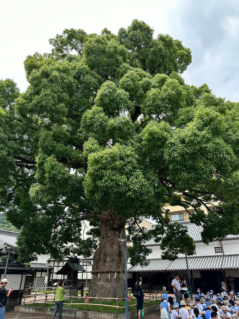 20230624日本岡山四國(5)中野烏龍麵學校、午餐~烏龍