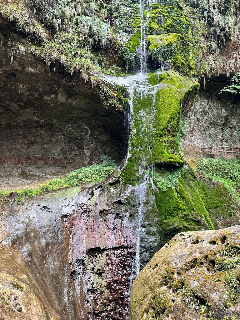 2024.4.17杉林溪二日(2)杉林溪松瀧岩瀑布、花圃區、