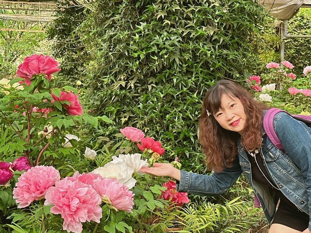 2024.4.17杉林溪二日(2)杉林溪松瀧岩瀑布、花圃區、