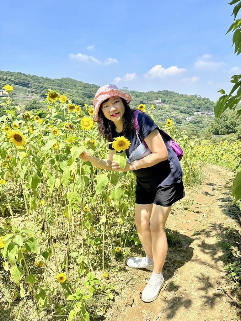 貓空小散策 貓空小散策