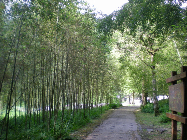 照片 048.jpg