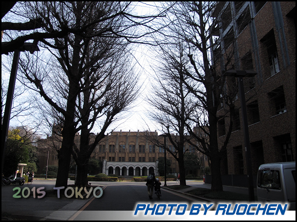 東京大學