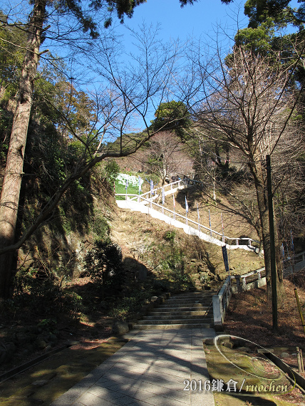 建長寺--準備爬山...