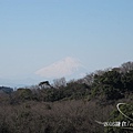 建長寺--富士山