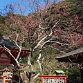 荏柄天神社