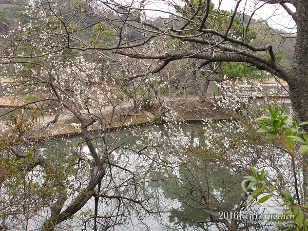 三溪園