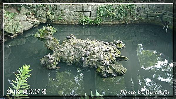 成田山新勝寺