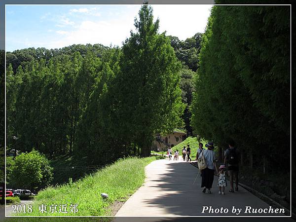 朵貝.楊笙曙光兒童森林公園