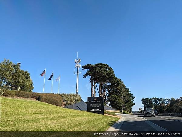 【澳洲輕旅行-Melbourne墨爾本】莫寧頓半島最美酒莊 