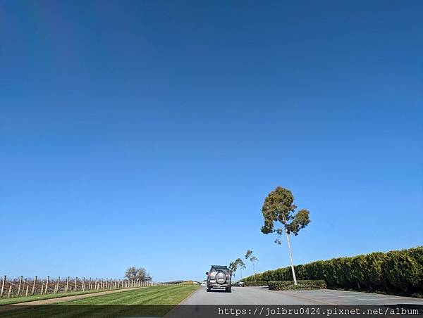 【澳洲輕旅行-Melbourne墨爾本】莫寧頓半島最美酒莊 