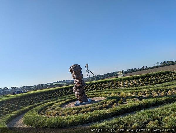 【澳洲輕旅行-Melbourne墨爾本】莫寧頓半島最美酒莊 