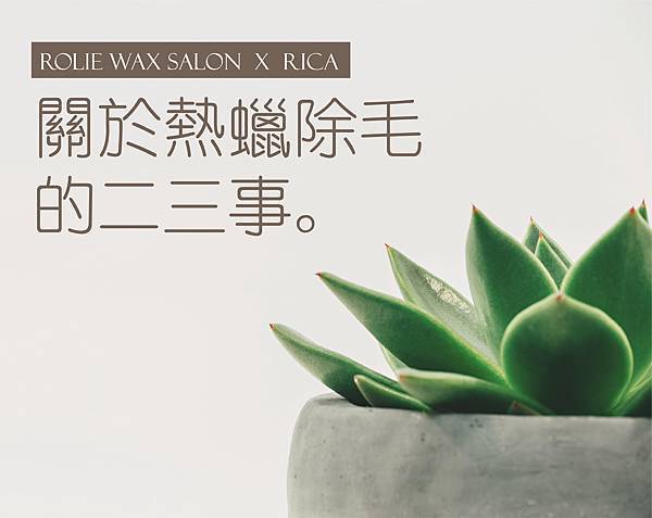 RICA-02.jpg RICA-02.jpg