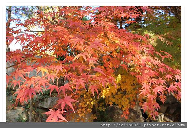 [韓國釡山]金井山梵魚寺