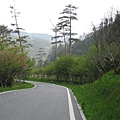 武陵農場道路