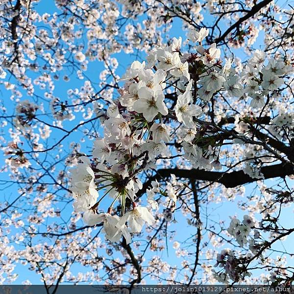 BMGB7681.JPG BMGB7681.JPG