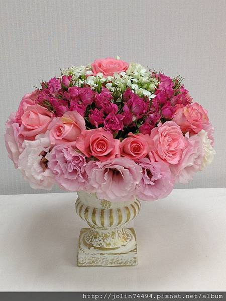 IMG_2670 IMG_2670