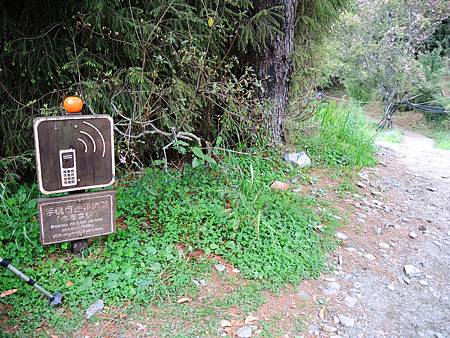 DSCN2258.JPG DSCN2258.JPG