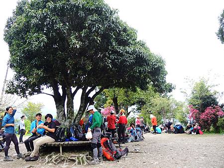 DSCN2277.JPG DSCN2277.JPG