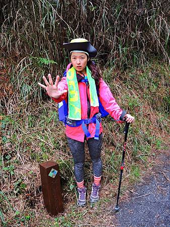 DSCN2286.JPG DSCN2286.JPG