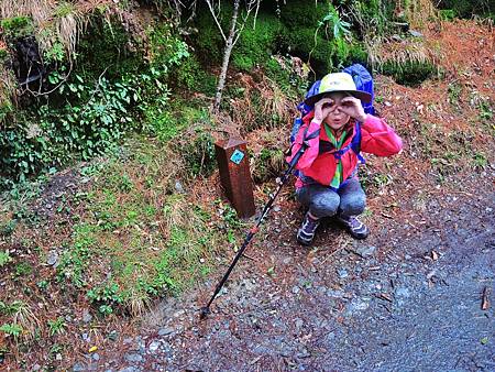 DSCN2317.JPG DSCN2317.JPG