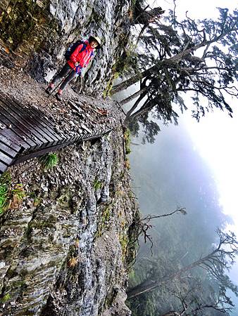 DSCN2329.JPG DSCN2329.JPG