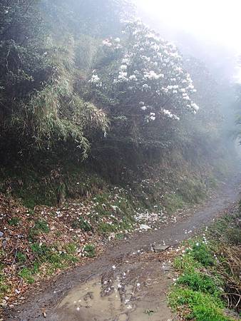 IMG_7596.JPG IMG_7596.JPG