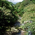 許顏橋下的風景