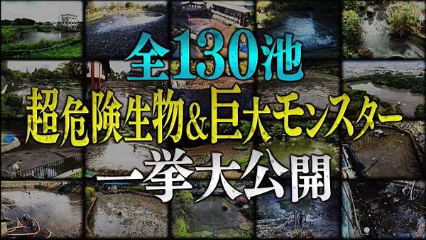 池水抽乾好吃驚in台灣 20240414 全130池超危険生物＆巨大モンスター一挙大公開.jpg