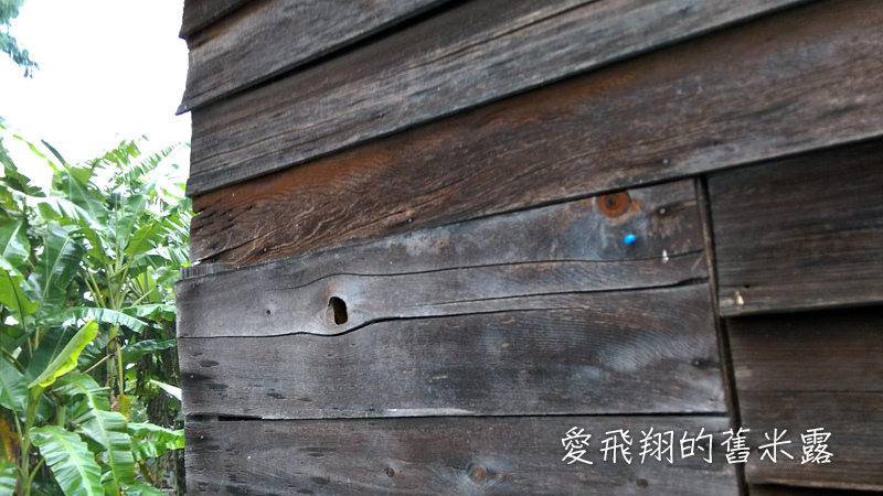 一起趣松鶴&裡冷部落體驗樂天純樸的簡單生活，快樂跳舞、打獵和工藝手作DIY