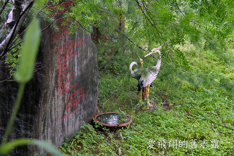一起趣松鶴&裡冷部落體驗樂天純樸的簡單生活，快樂跳舞、打獵和工藝手作DIY